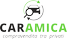 Logo CarAmica - Amica srl